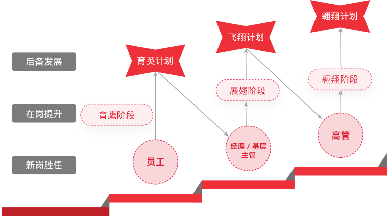 喜乐在线 "雄鹰计划"人才梯队培养