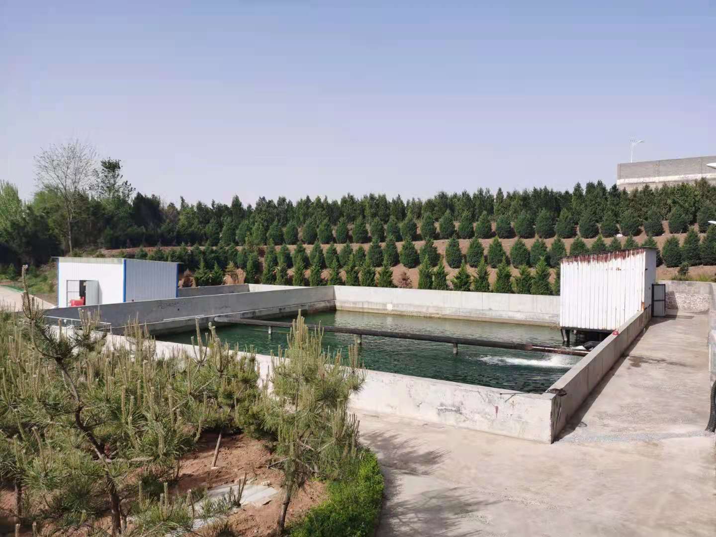 山西泽州县供水焦点娱乐水体净化案例