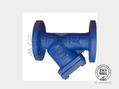 DN100不锈钢304-Y型过滤器